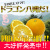 ［送料無料］八朔の通販。柑橘類。