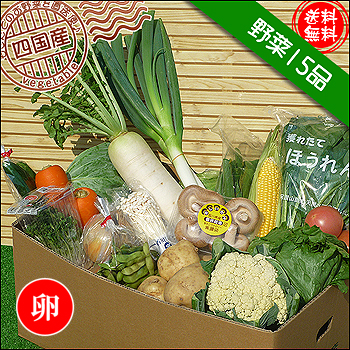 四国の野菜15品+卵10個