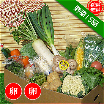 四国の野菜15品+卵20個