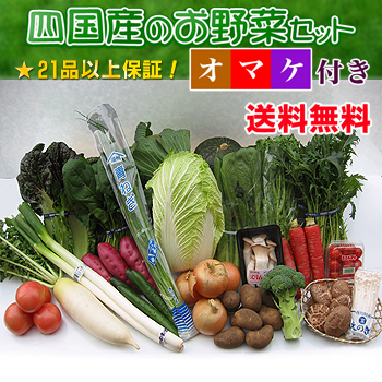 四国の野菜21品セット