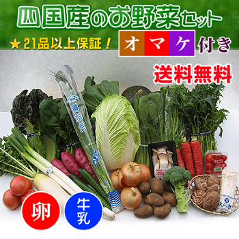 四国の野菜の詰め合わせ21品+卵10個+牛乳1本