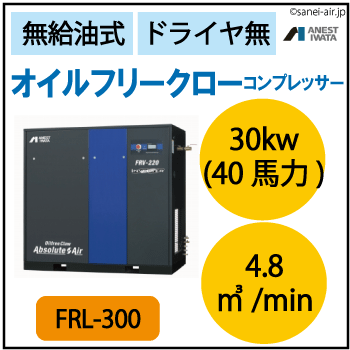 アネスト岩田オイルフリークローFRL300
