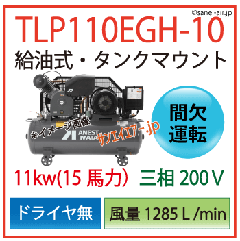 送料無料】【お困り時サポート】TLP110EG-10|アネスト岩田・給油式