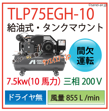 送料無料】【お困り時サポート】TLP75EGH-10|アネスト岩田・給油