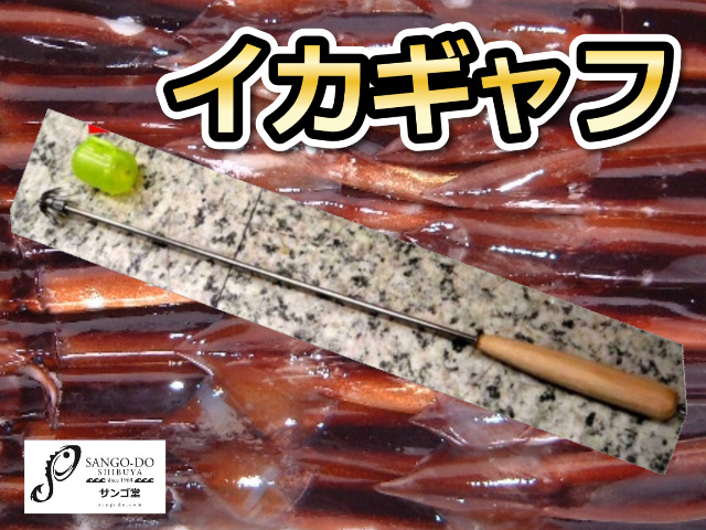 イカミニギャフ　　　イケスからイカを取り出す時に便利です！