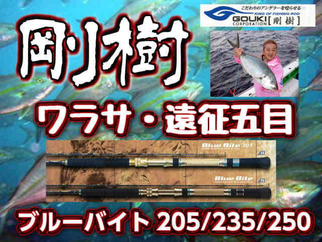 剛樹　Gチーム・ブルーバイト　青物竿　　205/235/250！　※オーダー手配となります