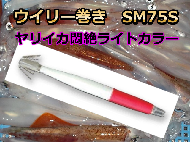 イカ角１１ｃｍ１段徳用パック 釣り具サンゴ堂 ｉｓｈｏｐ