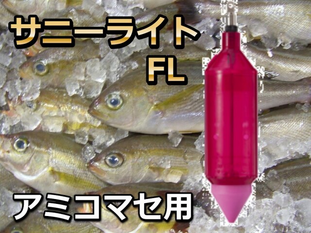新品 訳あり】FCS Sunny(サニーガルシア) CarbonLite