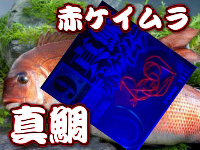 喰い渋りに効果有り！妖しく光る赤ケイムラカラー　赤ケイムラ真鯛　