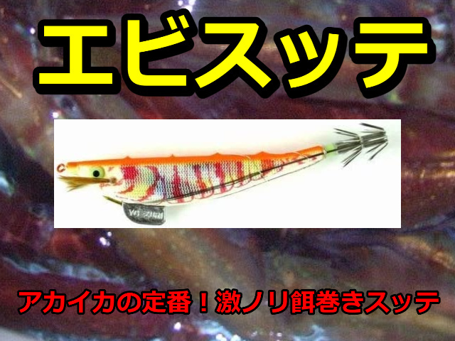 赤イカ 餌巻き エビスッテ