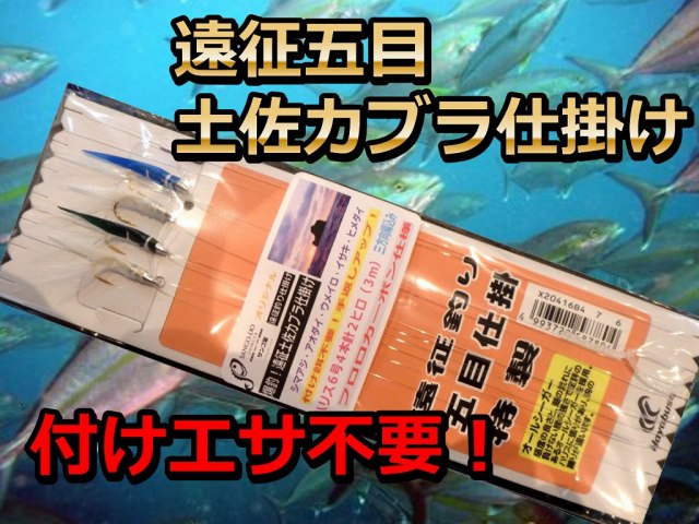爆釣！遠征五目仕掛け　必殺！土佐カブラ特注品　　たけ店長イチ推し！まーとにかく何でも食いますよ。バリバリと！