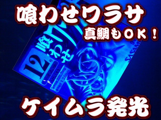 紫外線発光！　喰わせワラサ　マダイもＯＫ！平打加工なので強度もあります！　マダイ・ワラサ