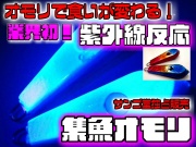 業界初！魚が寄る寄る！紫外線反応集魚オモリ　25～100号　ブルー＆ピンク　2個セット　　サンゴ堂独占販売