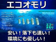 600号追加！落ちが速い！錆びにくい！　ECOオモリ　 80号～600号　鉄オモリなのでコスパ最高！