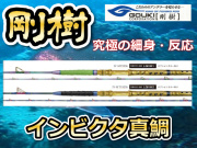 剛樹 INVICTA MADAI　　話題の超細身コマセ真鯛モデル　　※オーダー手配となります