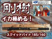 剛樹　Gチーム・スクイッドバイト　　軽量のチューブラー　イカ竿！　※オーダー手配となります