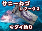 サニーカゴ　L　マーク２　　近海ワラサ・マダイ標準サイズ　　サニー商事