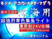 深海用！ストロボのような圧倒的な光量！超強烈ブルー集魚ライト２４Ｖ　サンゴ堂オリジナル　