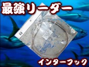 最強のリーダー！　両端ループタイプもあります！　ワイドオンリーダー　40/50/60/80/100号　6ｍ　インターフック