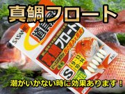 浮かせて潮に乗せる！　マダイ　フロート　SASAME