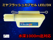 高輝度ＬＥＤ！　ミヤマエ　フラッシュカプセル DXタイプ　キンメ・アコウ釣り用