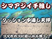 シマアジクッション中通し天秤　銭洲・神津の遠征船での使用率ナンバー１！