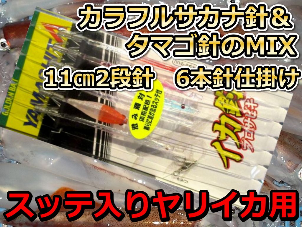 ヤリイカ たまご針