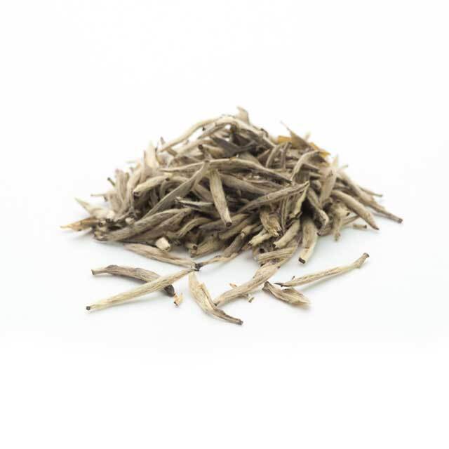 白毫銀針茶