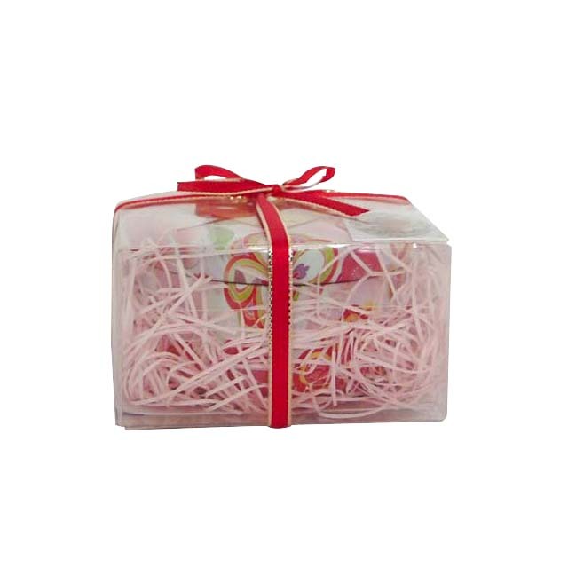 カーネーション仙桃(花想い缶)