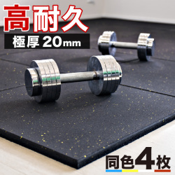 ジムマット Gymマット 50cm x50cm <br>4枚セット トレーニングマット 高耐久ゴム20mm 厚手 オシャレ スタイリッシュ ゴムマット プロ仕様 プロ用 ジム用マット フィットネスクラブ用 筋トレーニングジム用 滑り止めマット 防音マット 静音マット ダンベル 送料無料