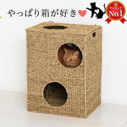 猫ちぐら 約幅45 ボックスハウス 天然素材 ペット用ハウス 箱ボックス型ハウス 猫用ハウス 遊び場おもちゃトンネル隠れる 箱型 水草 シーグラス 素朴 猫ベッド つぐら 猫トンネル カゴ籠かご箱ボックス 箱 にゃんこ用ハウス 藁に似た水草/通販/送料無料/新生活