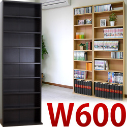 本棚 薄型 文庫書棚 W600