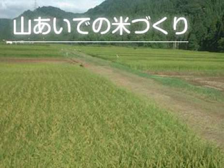 スライドショー大4-4