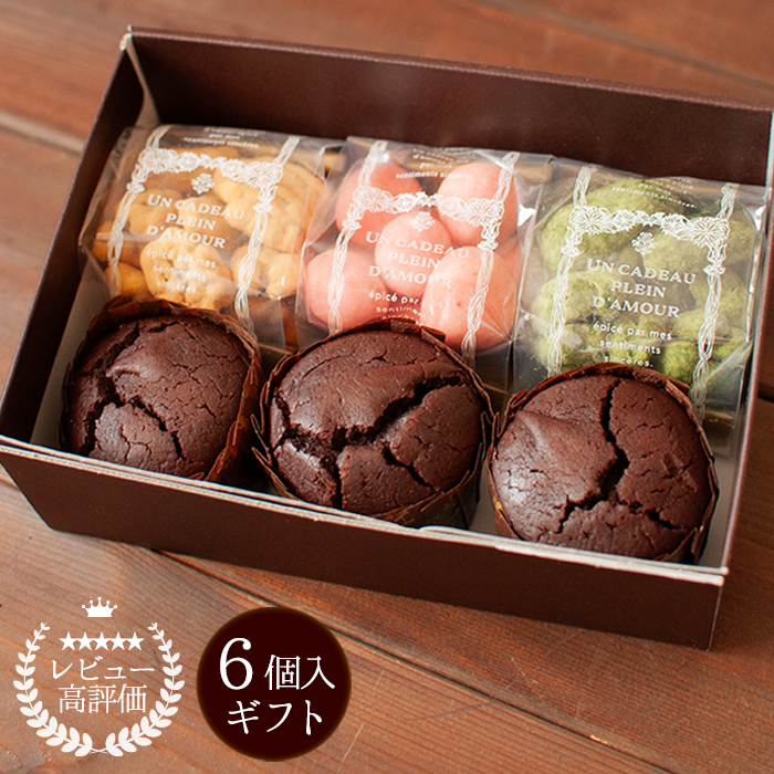 チョコの森アソートセット 6個入