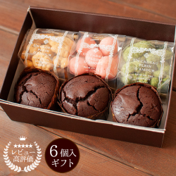 チョコの森アソートセット 6個入