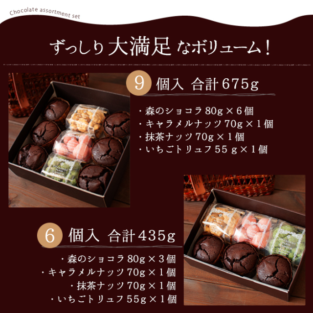チョコの森アソートセット9個入