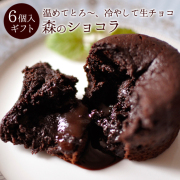森のショコラ6個入