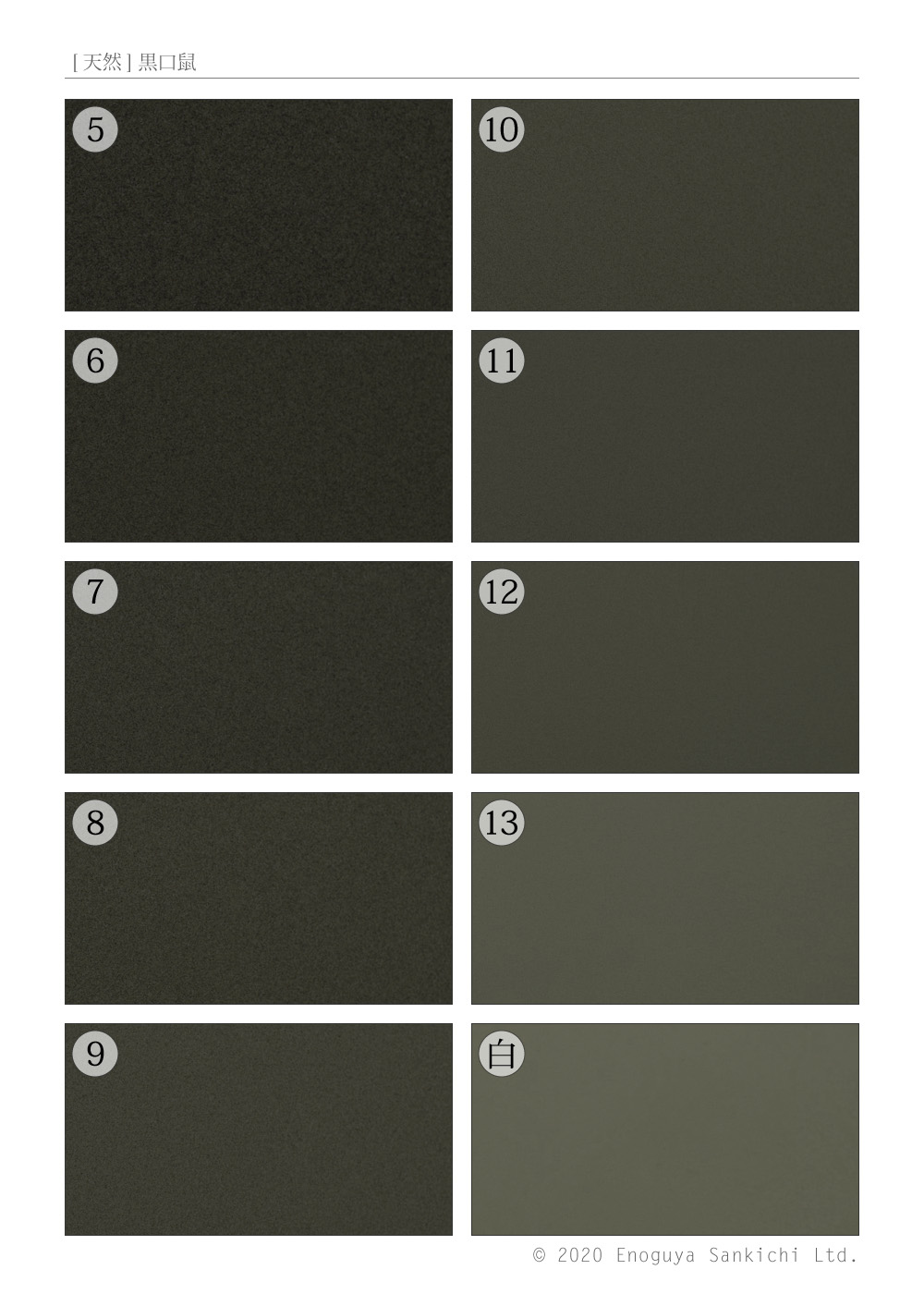 [天然] 黒口鼠