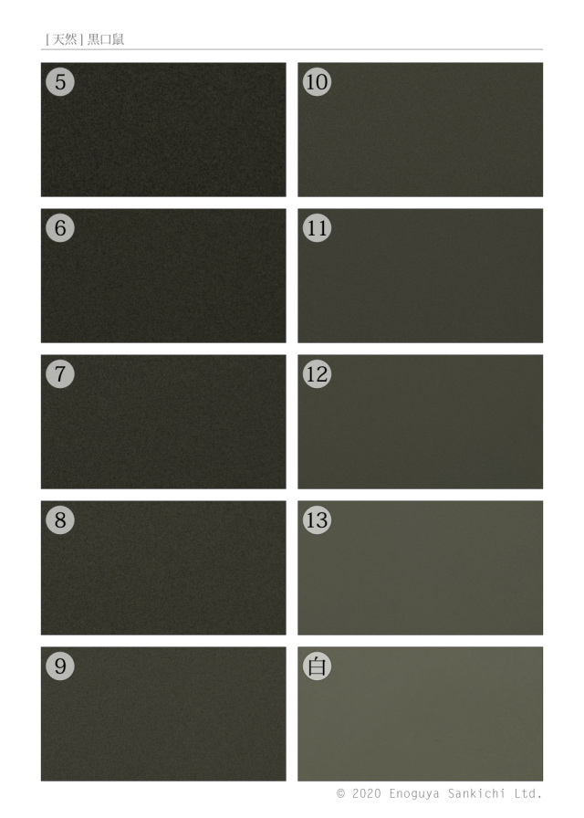 [天然] 黒口鼠