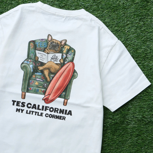 The Endless Summer TES CALIFORNIA BUHI CHAIR T-SHIRT BROWN 「メール便OK」