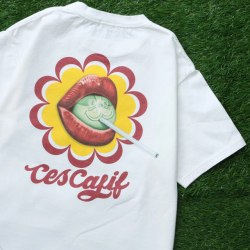 TES CALIFORNIA TASTE The Endless Summer T-SHIRT WHITE 「メール便OK」
