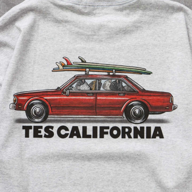 通販 アメカジ TES The Endless Summer エンドレスサマー プリント