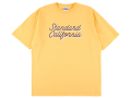 【送料無料】STANDARD CALIFORNIA HEAVYWEIGHT MODERN TWIST SIGNS LOGO T-SHIRT YELLOW