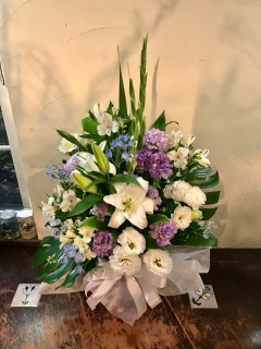 パープル1