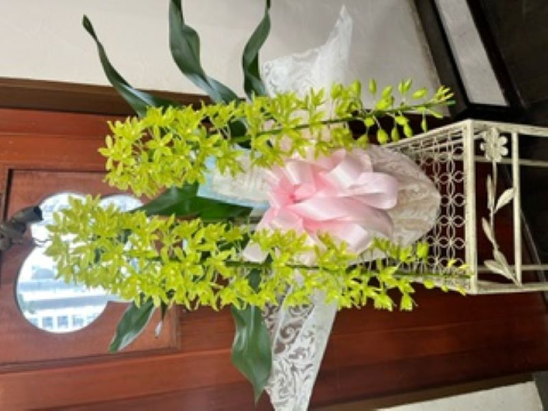 グラマトフィラム