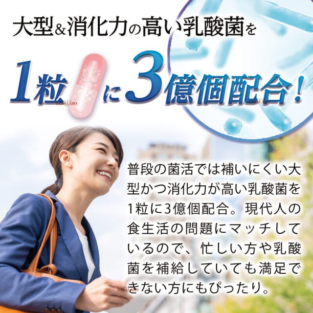 ハイパーラクタムネックス NEX 200mg×60カプセル 腸活菌活用のNS乳酸菌