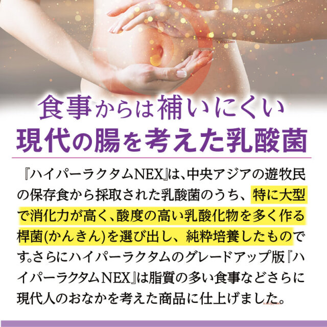 ハイパーラクタムネックス NEX 200mg×60カプセル 腸活菌活用のNS乳酸菌