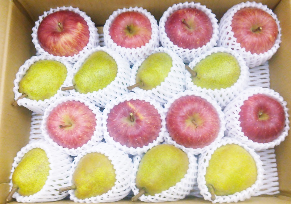 【10】山形のラフランスと無袋ふじりんご　5キロ　約16玉入