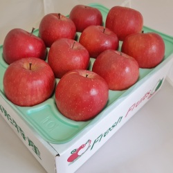 【11】完熟無袋山形のふじりんご　3キロ　約10玉入