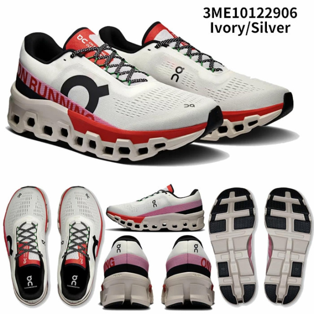 モンテスラ モンステラ プラチナム 「Monstera deliciosa var platinum」54